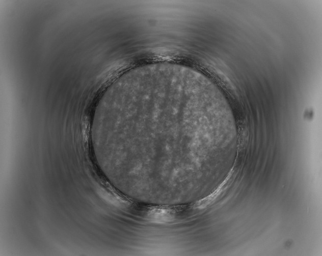 X0000098200174200805081120