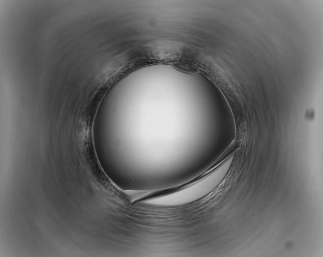 X0000098200176200805081120