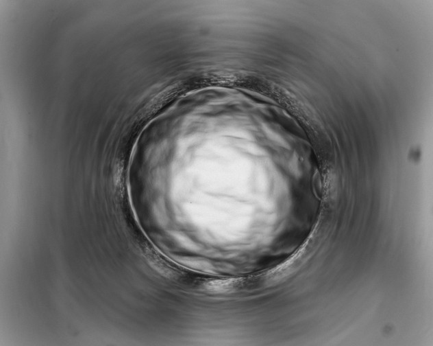 X0000098200178200805081120