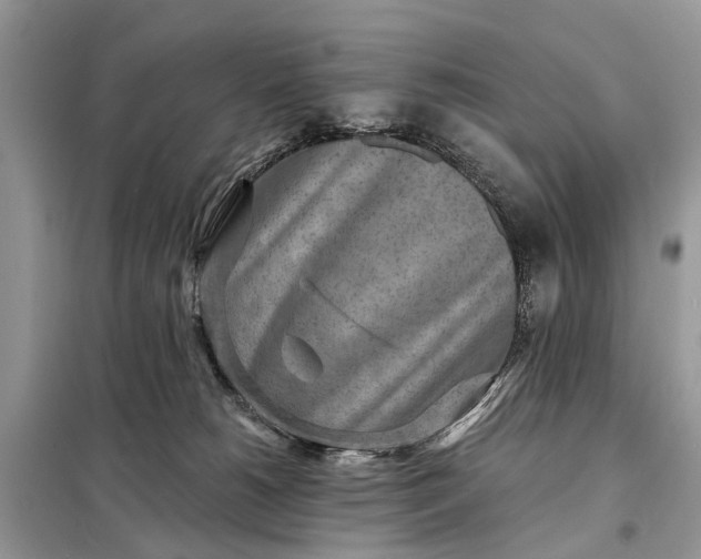 X0000098200180200805081120