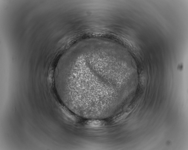 X0000098200181200805081120
