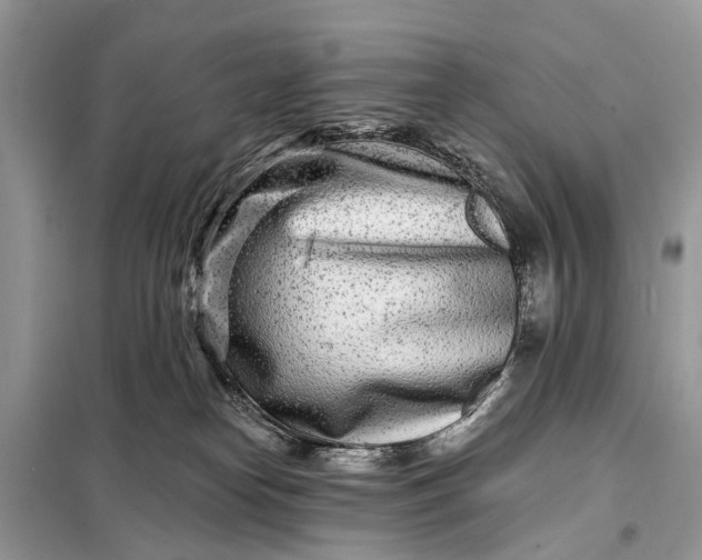 X0000098200182200805081120
