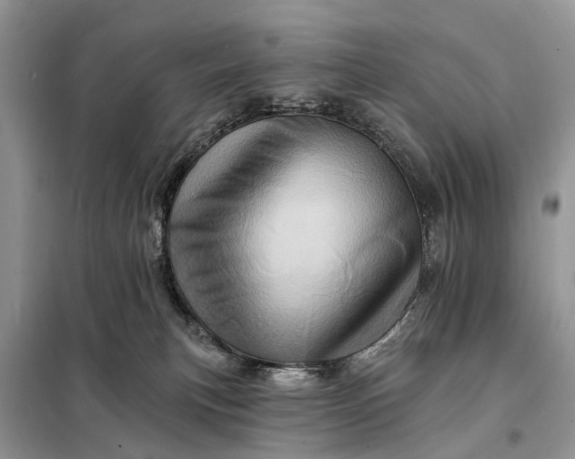 X0000098200183200805081120