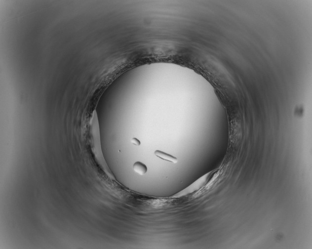 X0000098200184200805081120
