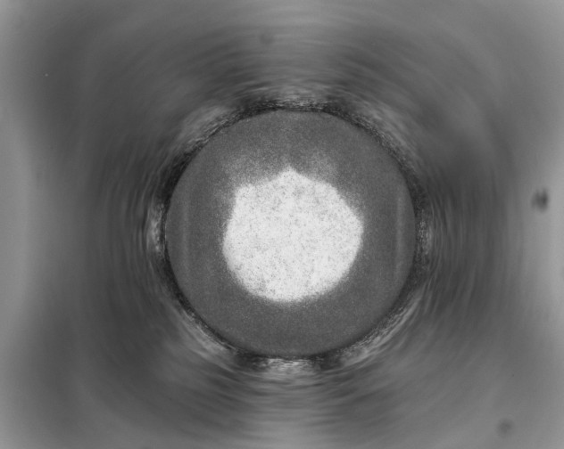 X0000098200185200805081120