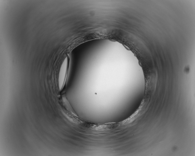 X0000098200186200805081120