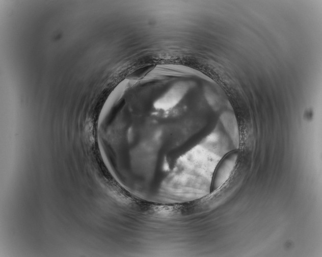 X0000098200187200805081120