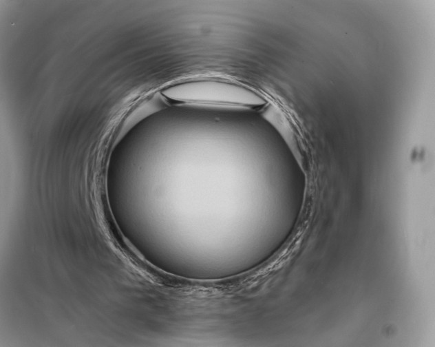 X0000098200193200805081119