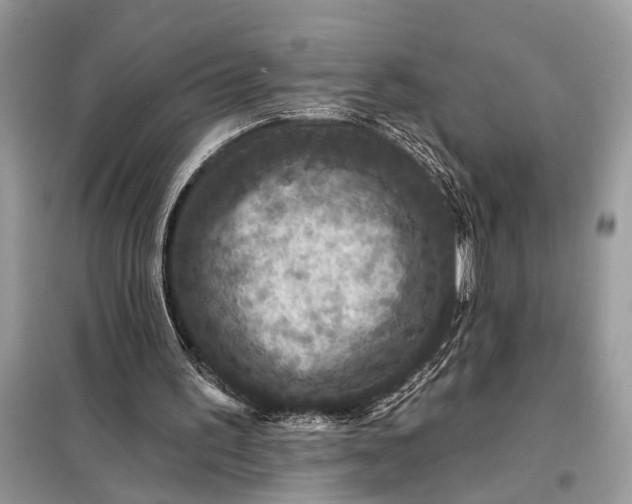 X0000098200195200805081119