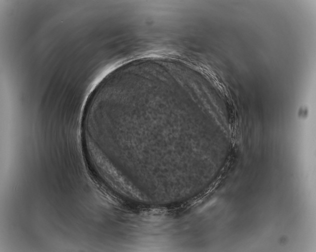 X0000098200196200805081119