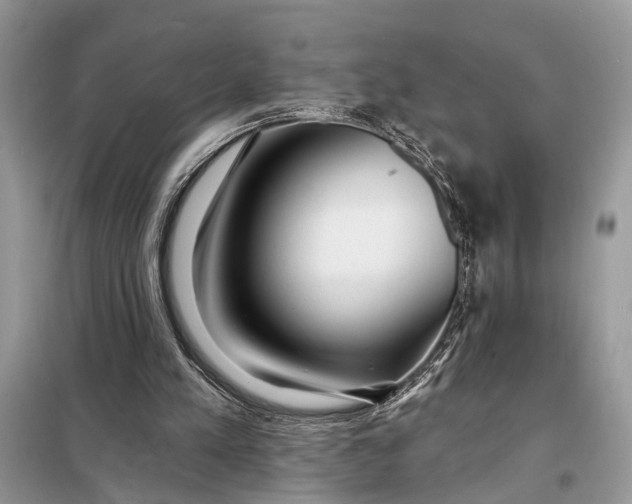 X0000098200197200805081119