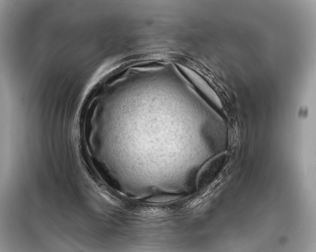 X0000098200198200805081119