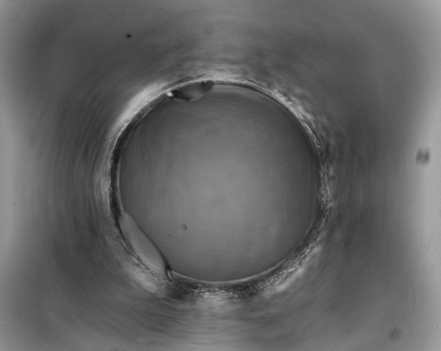 X0000098200199200805081119