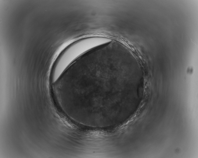 X0000098200200200805081119