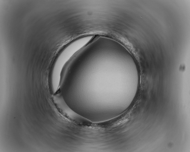 X0000098200201200805081119