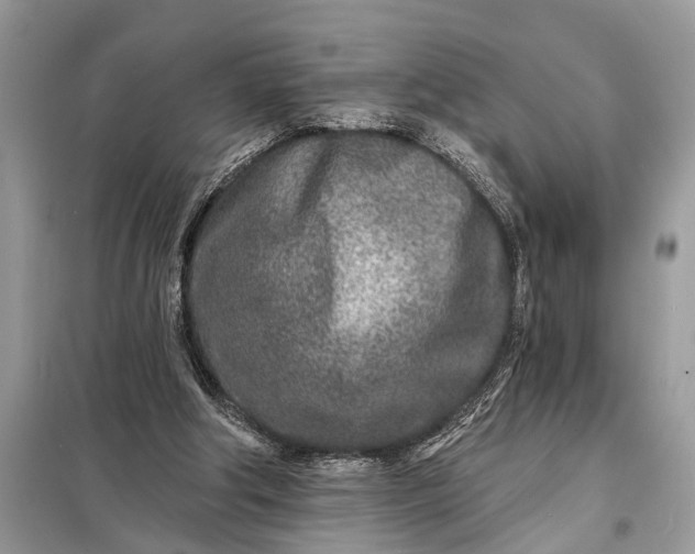 X0000098200202200805081119