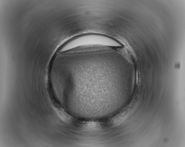 X0000098200204200805081119