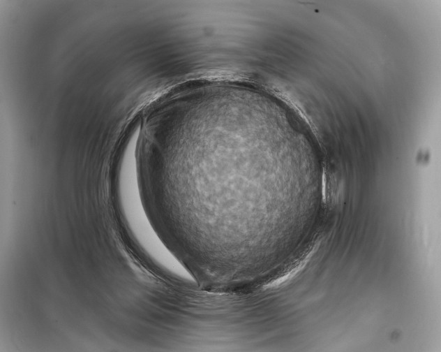 X0000098200205200805081119