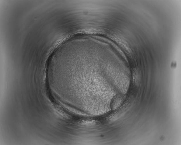 X0000098200206200805081119