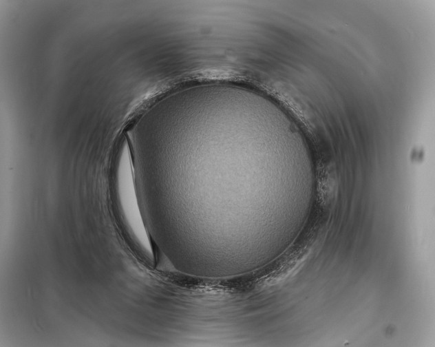 X0000098200207200805081119