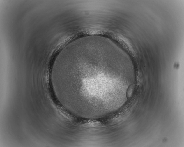 X0000098200210200805081119