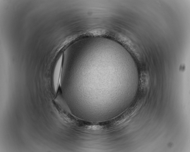 X0000098200212200805081119