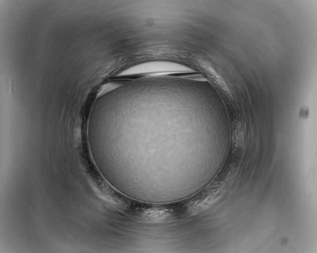 X0000098200213200805081119