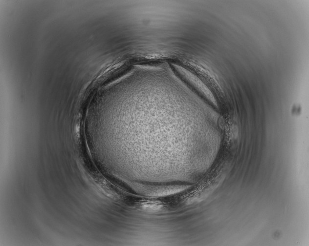 X0000098200214200805081119