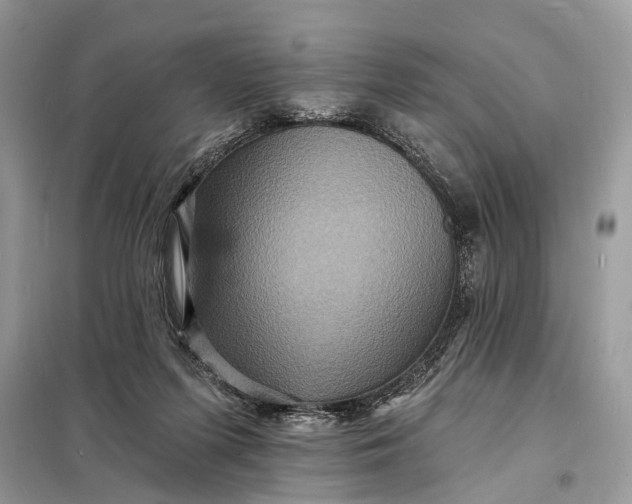 X0000098200215200805081119