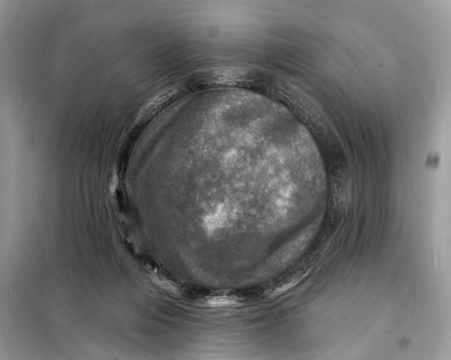 X0000098200216200805081119