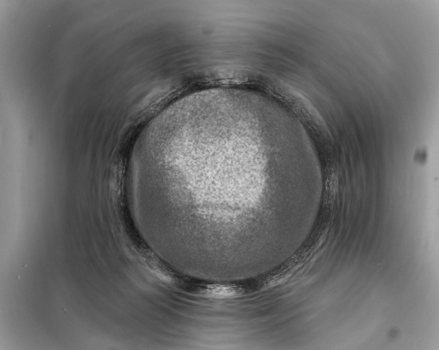 X0000098200218200805081119