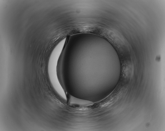 X0000098200219200805081119