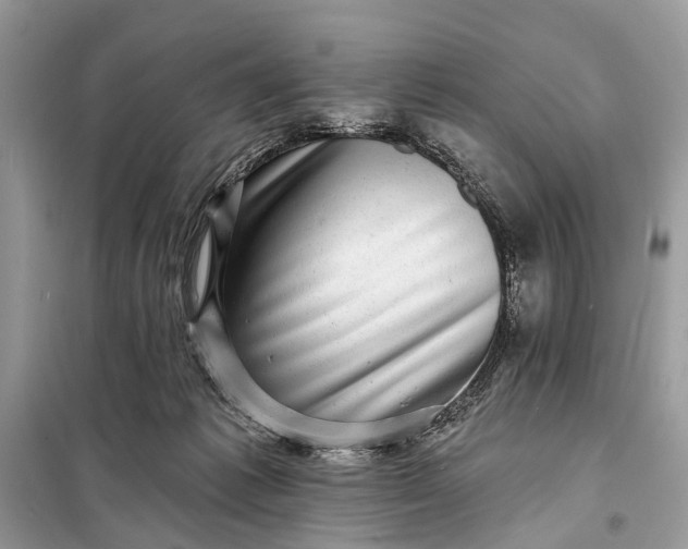X0000098200221200805081119