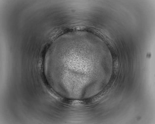 X0000098200222200805081119
