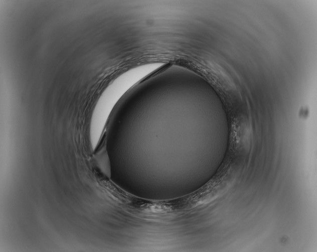 X0000098200223200805081119