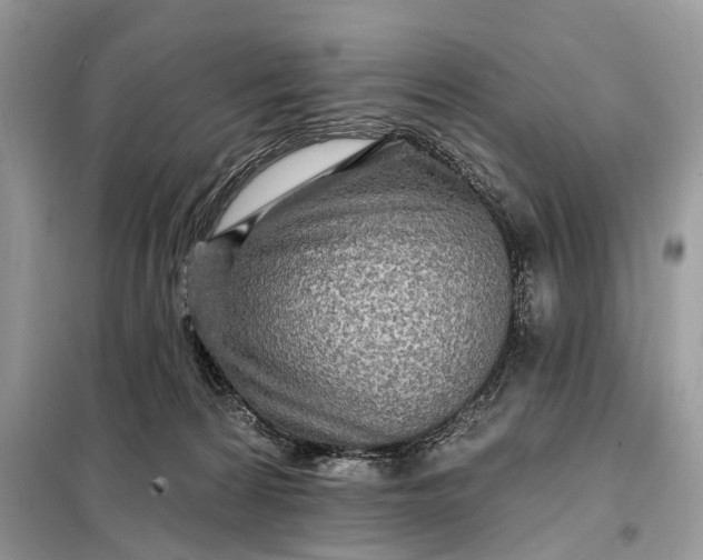 X0000098200224200805081119