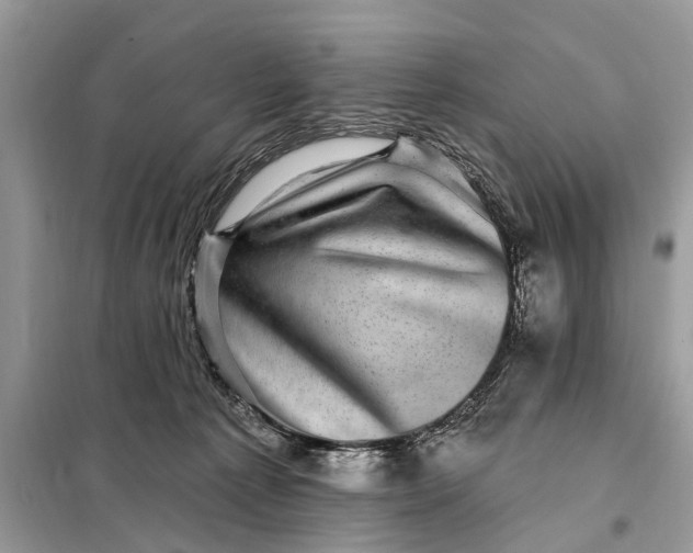 X0000098200225200805081119