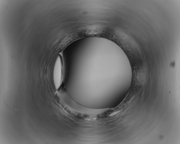 X0000098200227200805081119