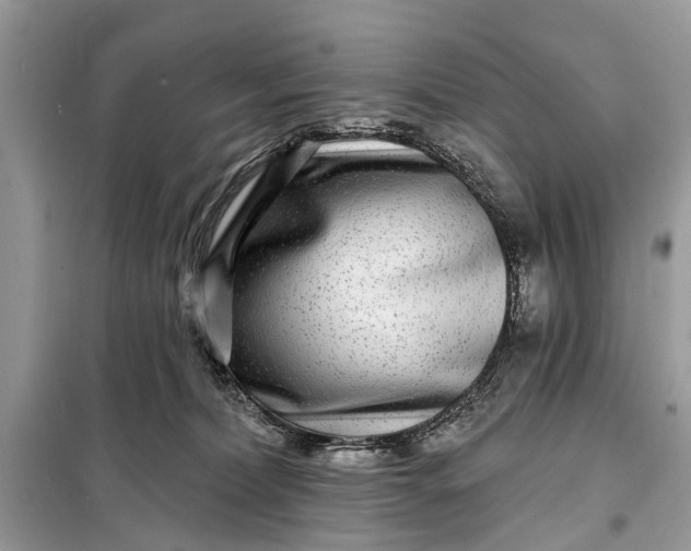 X0000098200228200805081119