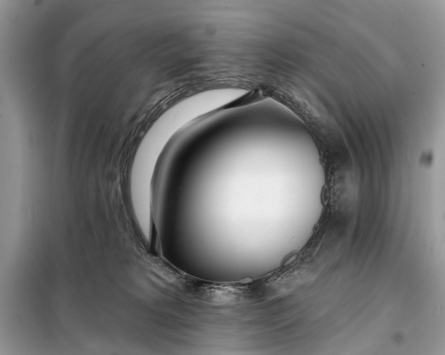 X0000098200229200805081119