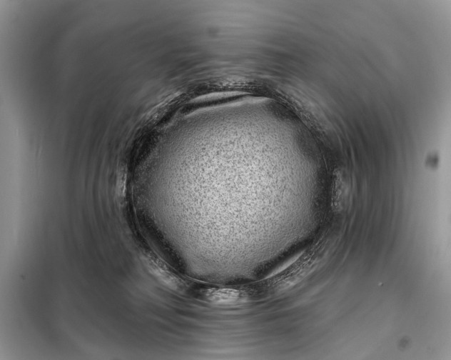 X0000098200230200805081118