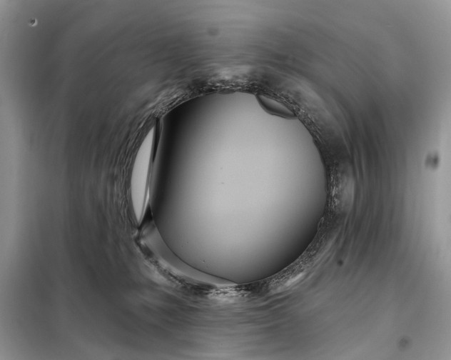X0000098200231200805081118