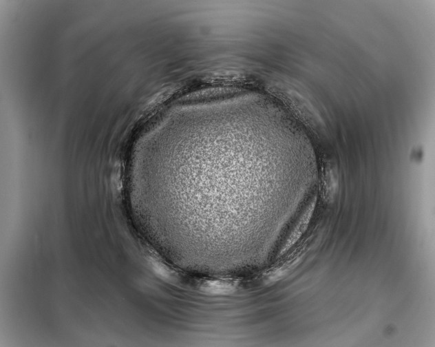 X0000098200232200805081118