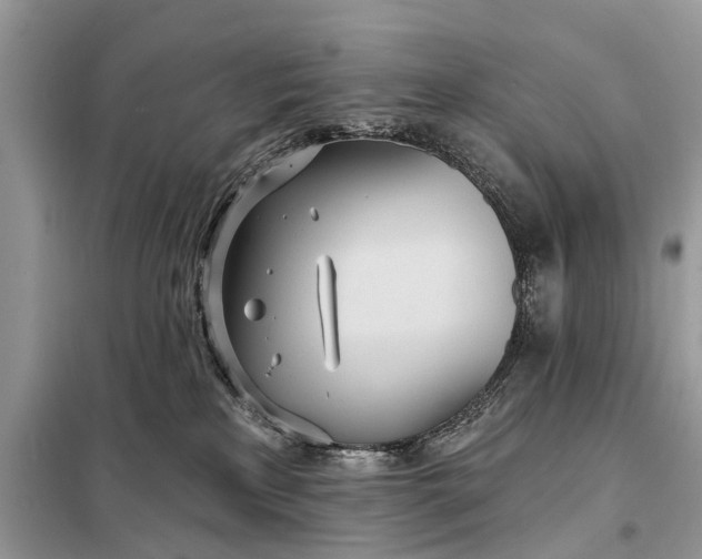 X0000098200233200805081118