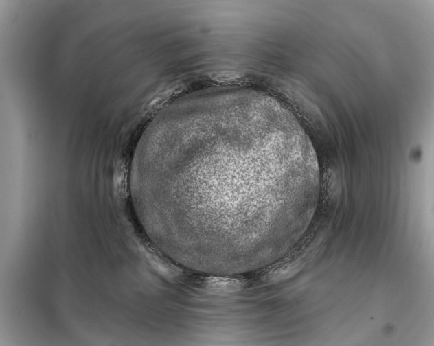 X0000098200234200805081118