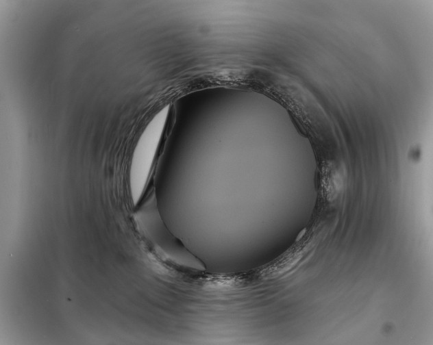 X0000098200235200805081118