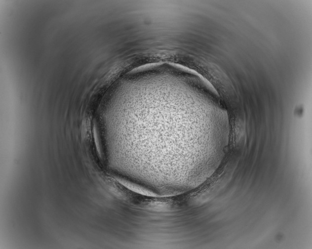 X0000098200236200805081118