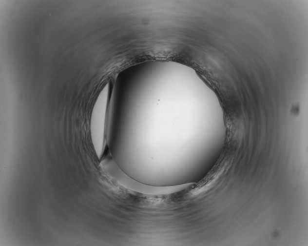 X0000098200237200805081118