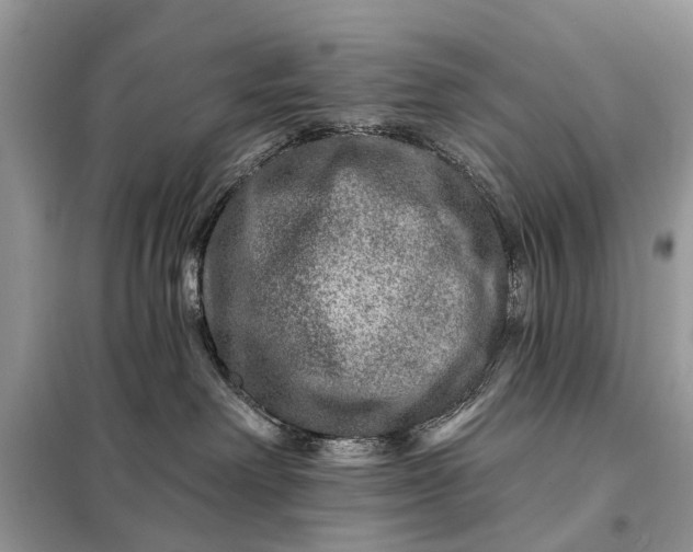 X0000098200238200805081118