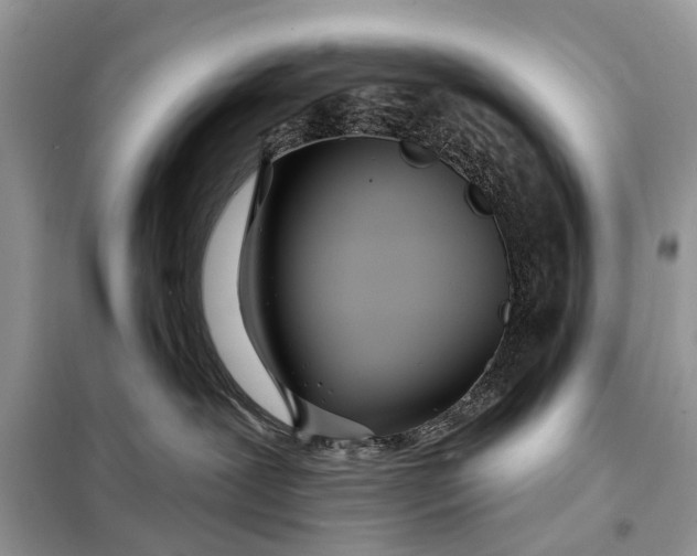 X0000098200239200805081118